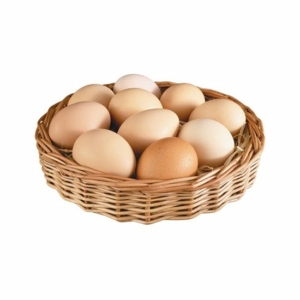 2355 300x300 - Яйця курячі домашні
